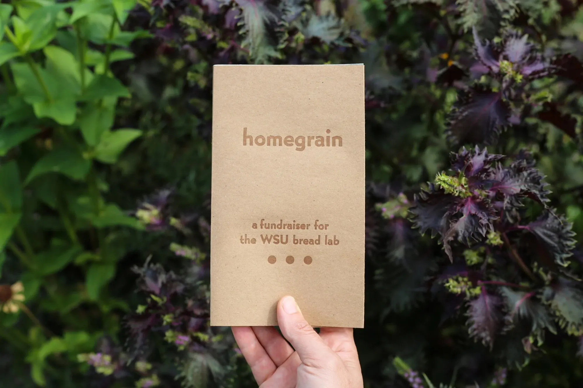 Wordloaf Holiday Book Stack 2025, part one