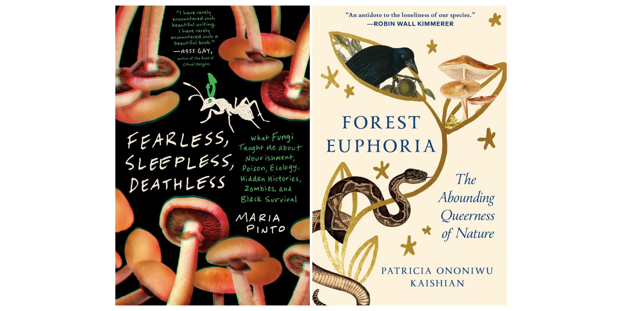 Wordloaf Holiday Book Stack 2025, part two