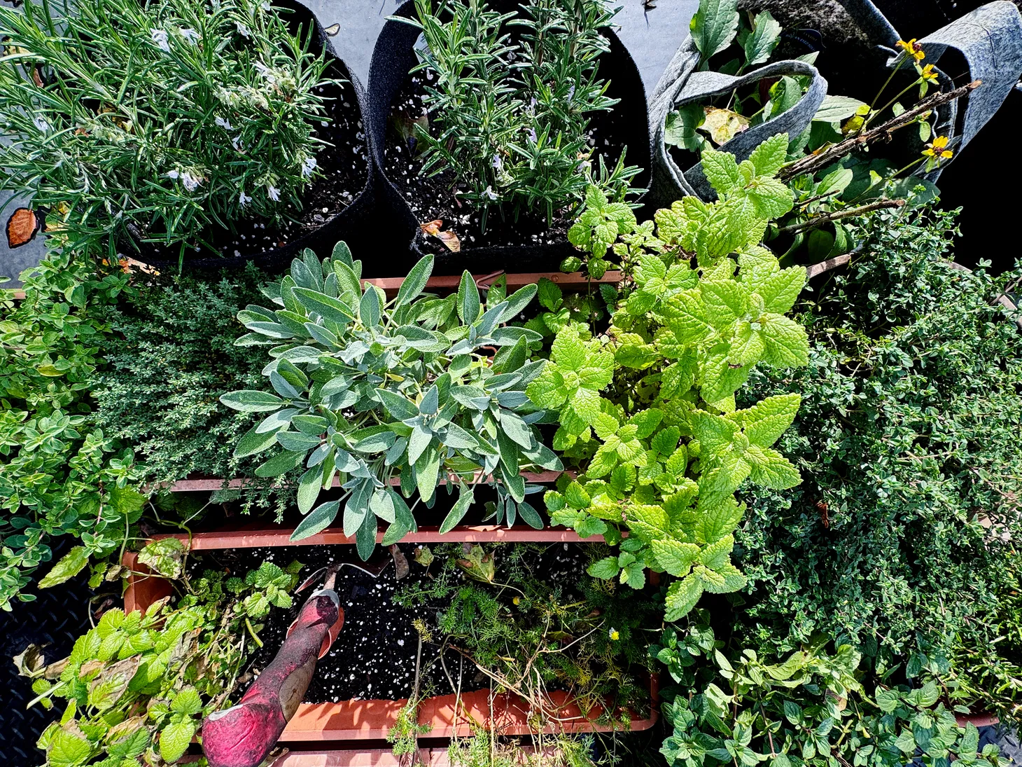 Everything's Gone Green