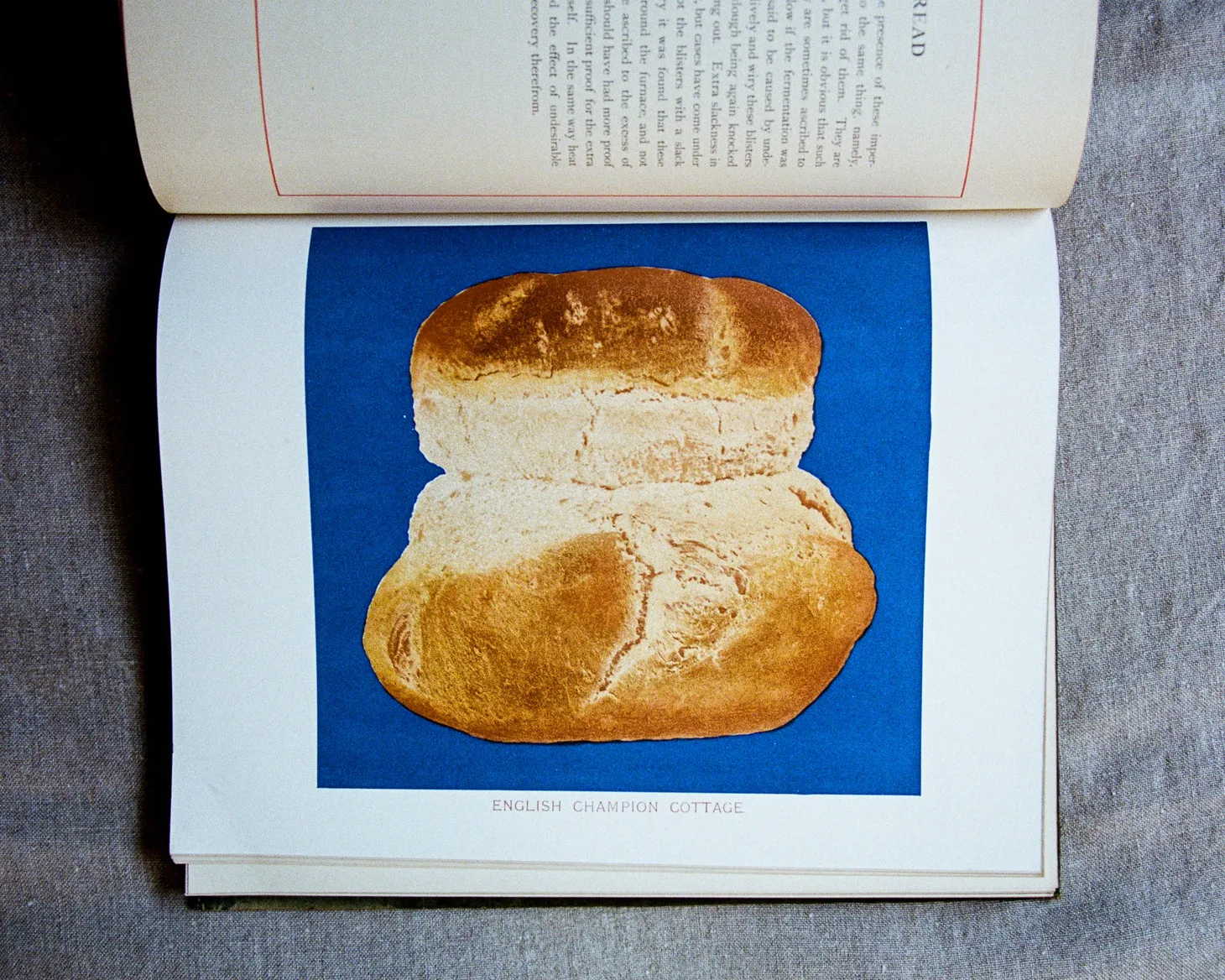 Friday Bread Basket 9/18/21