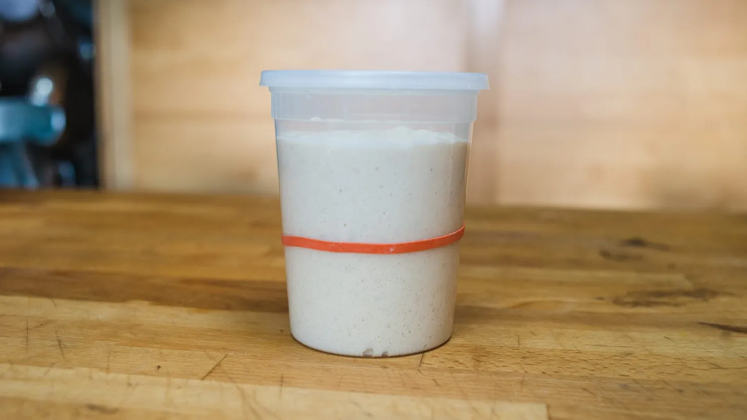 Recipe: Care and Maintenance of a Sourdough Starter