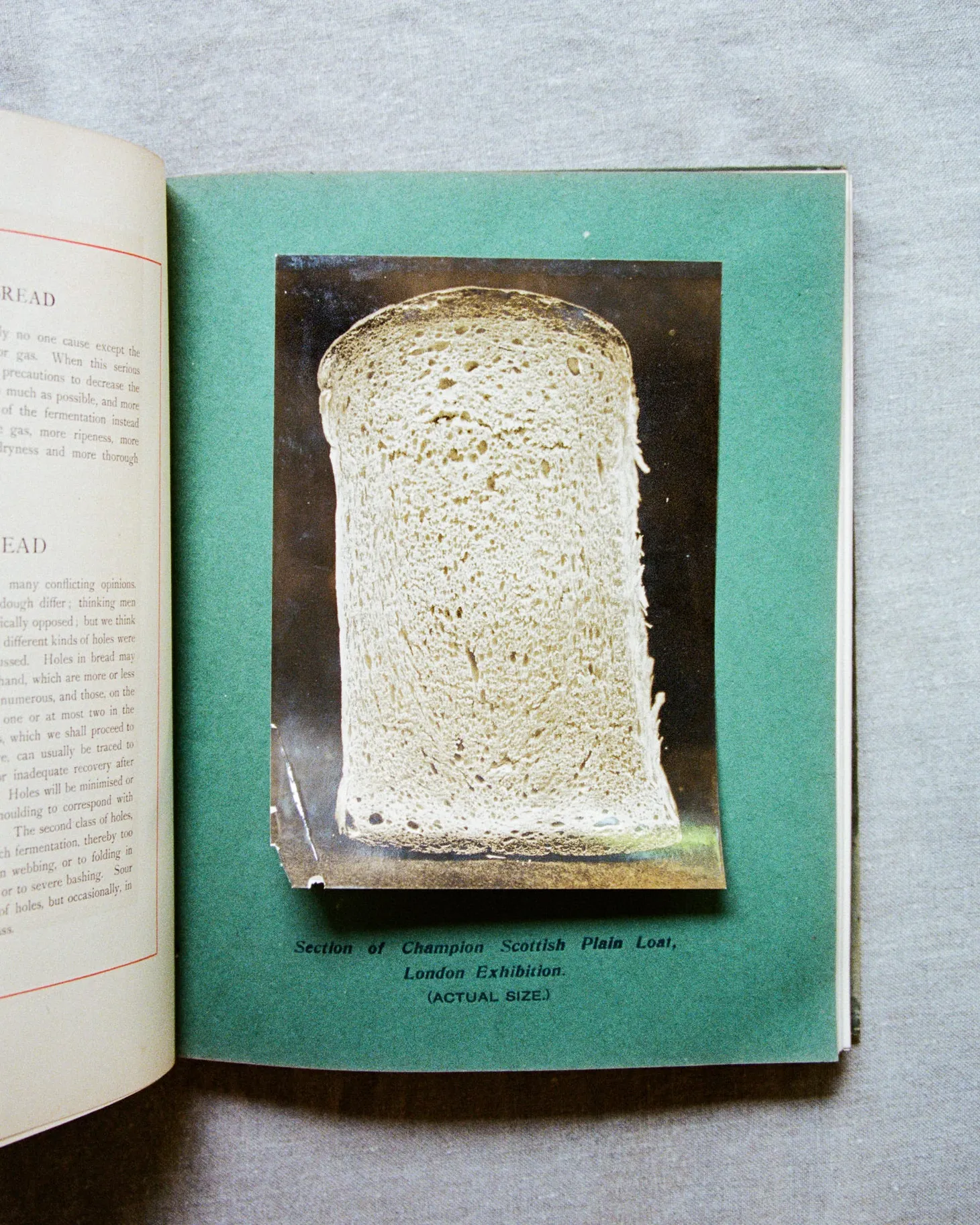 Monday Open Thread 6/6/22