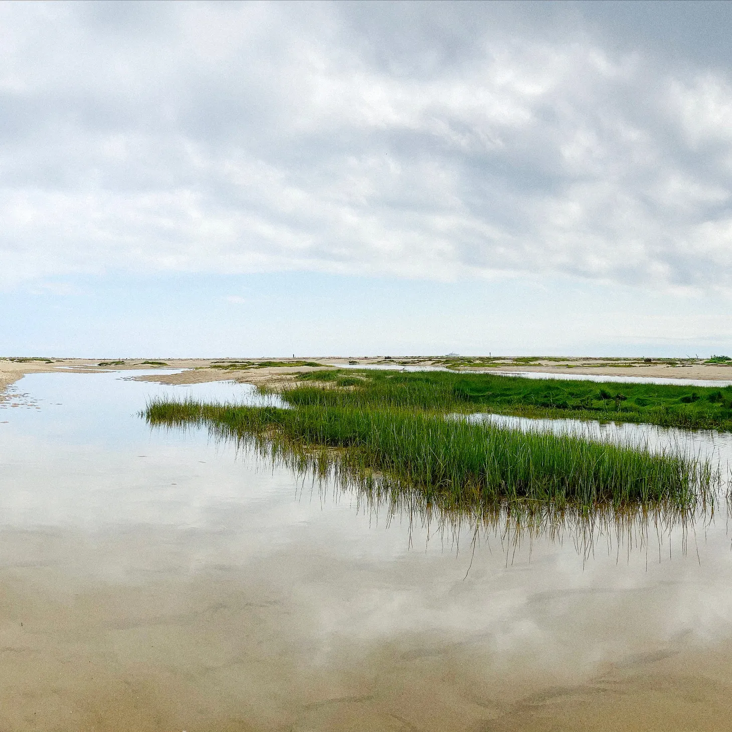 What I did on my summer vacation