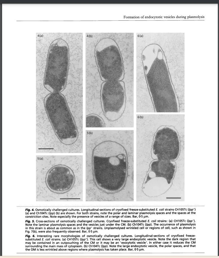 Starting the Sweet Starter