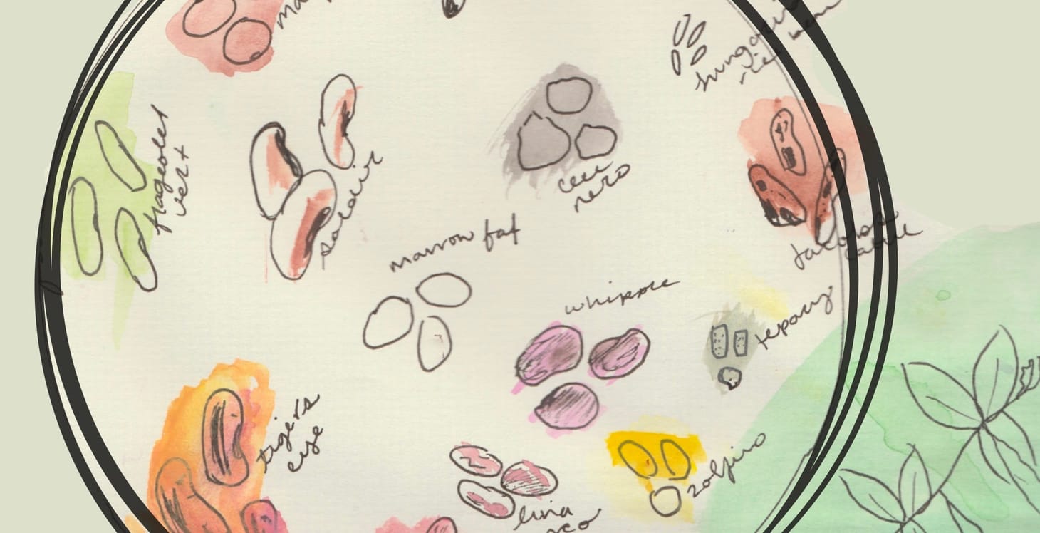 No Monday Open Thread today