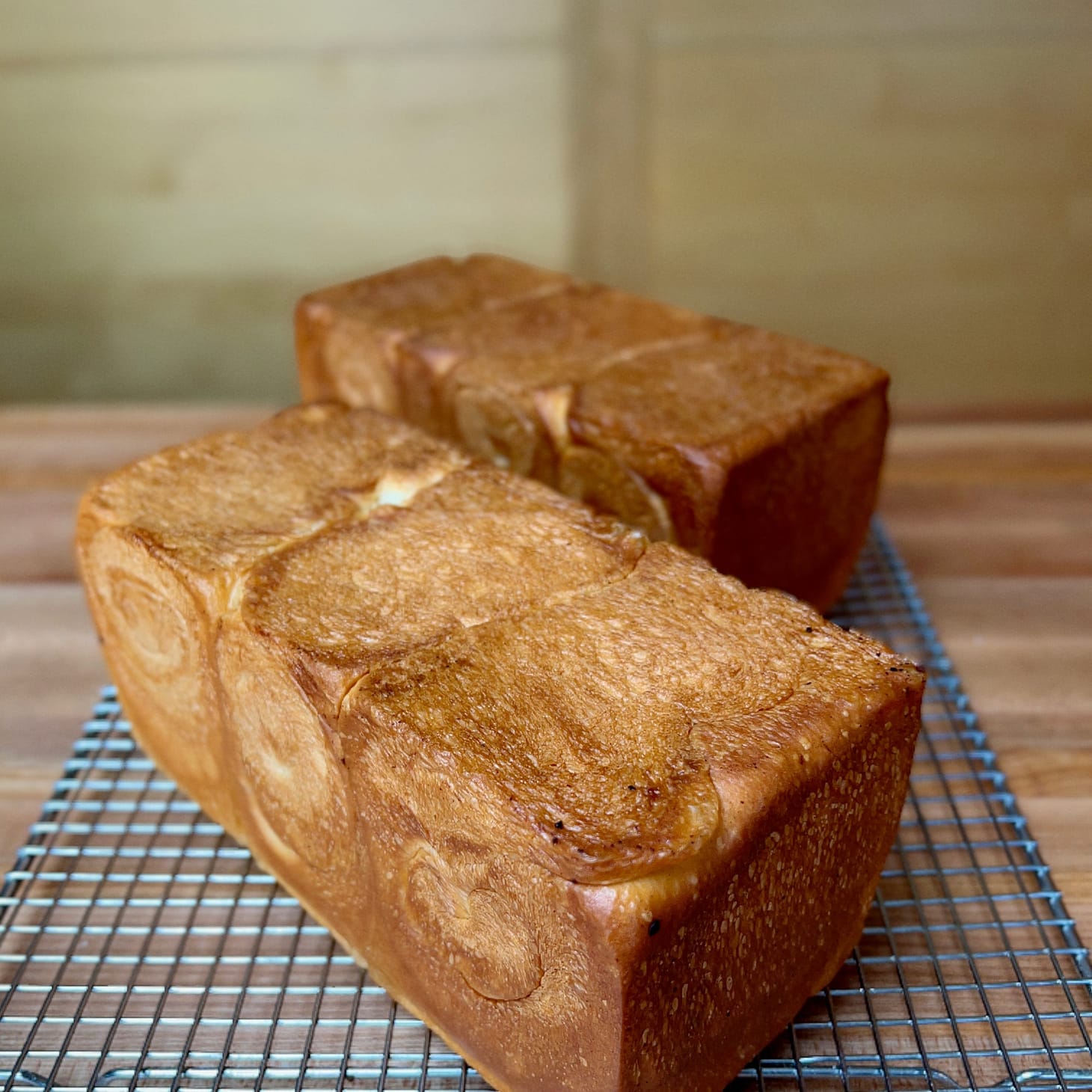 Monday Open Thread 2/21/22