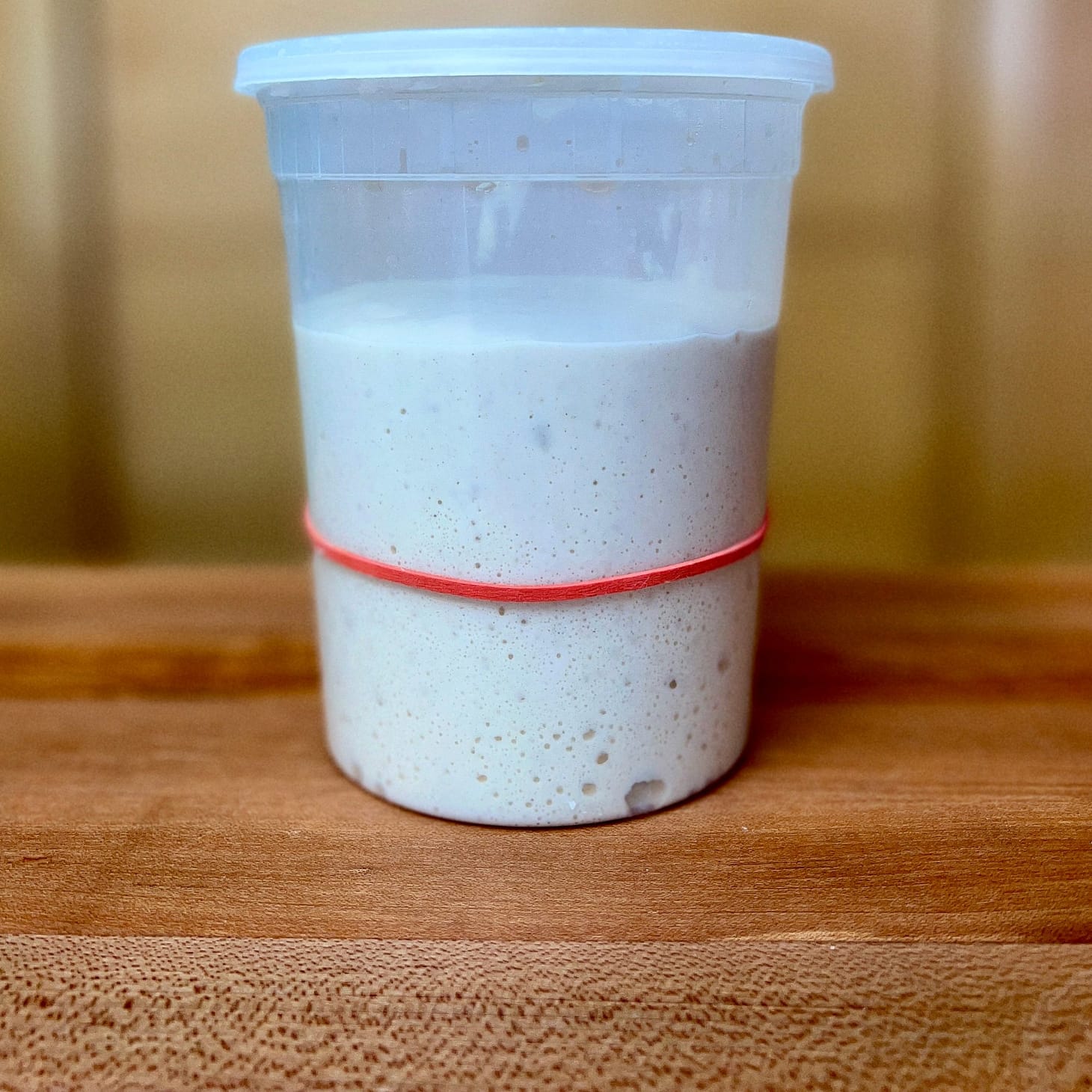 The Dough Before the Dough