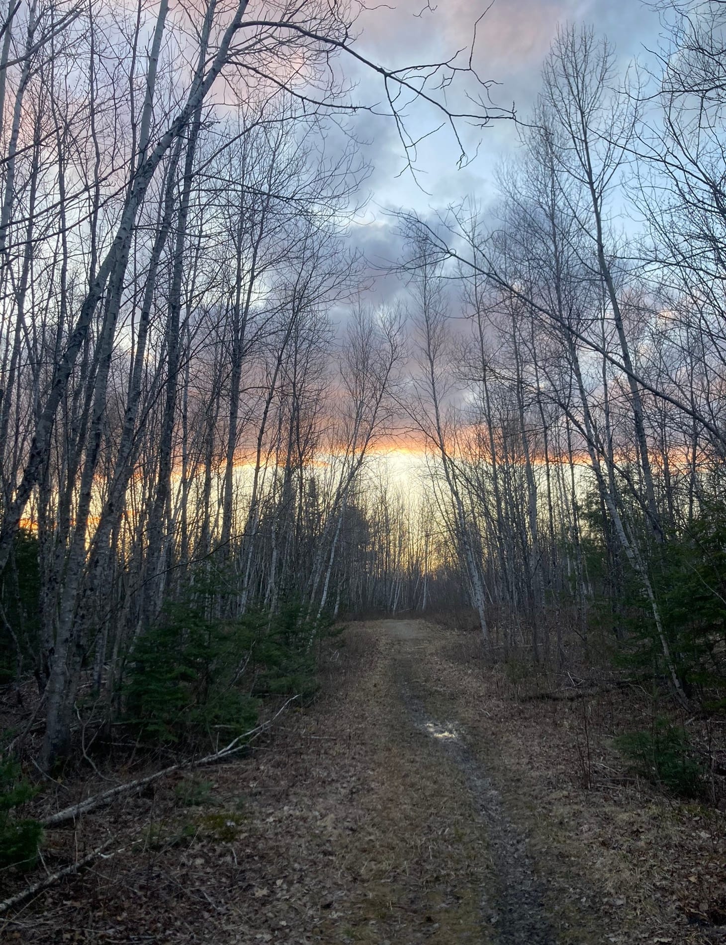 Farms, Food and Photography