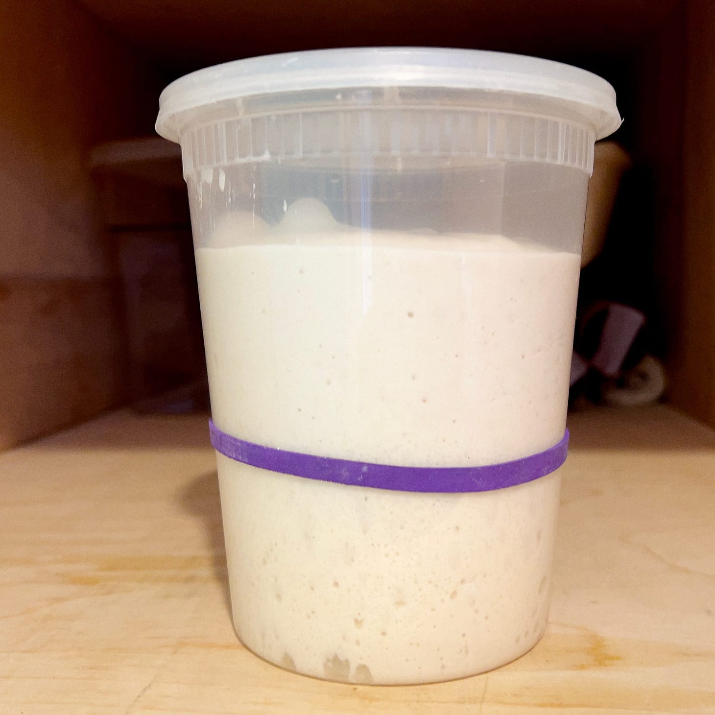 Starter starter kit, 2023 edition