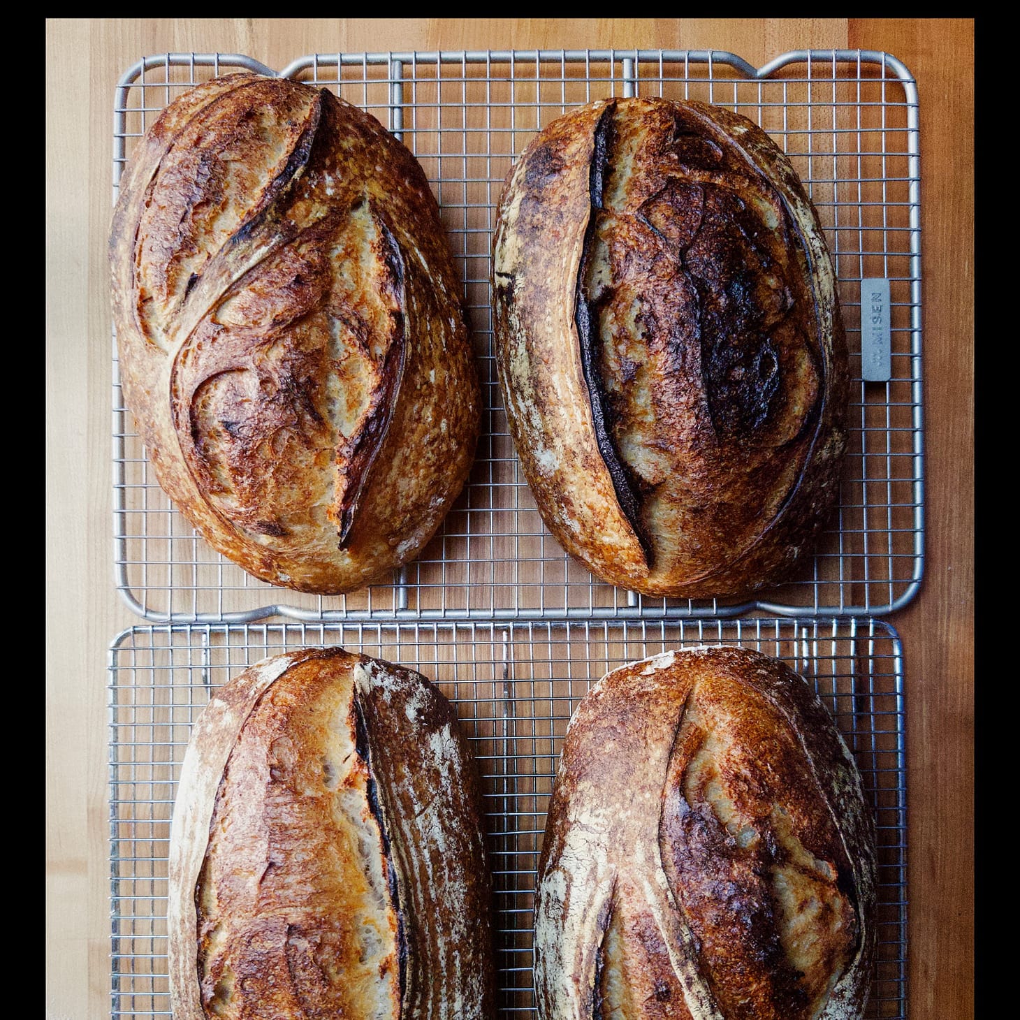 Improving Your Sourdoughs