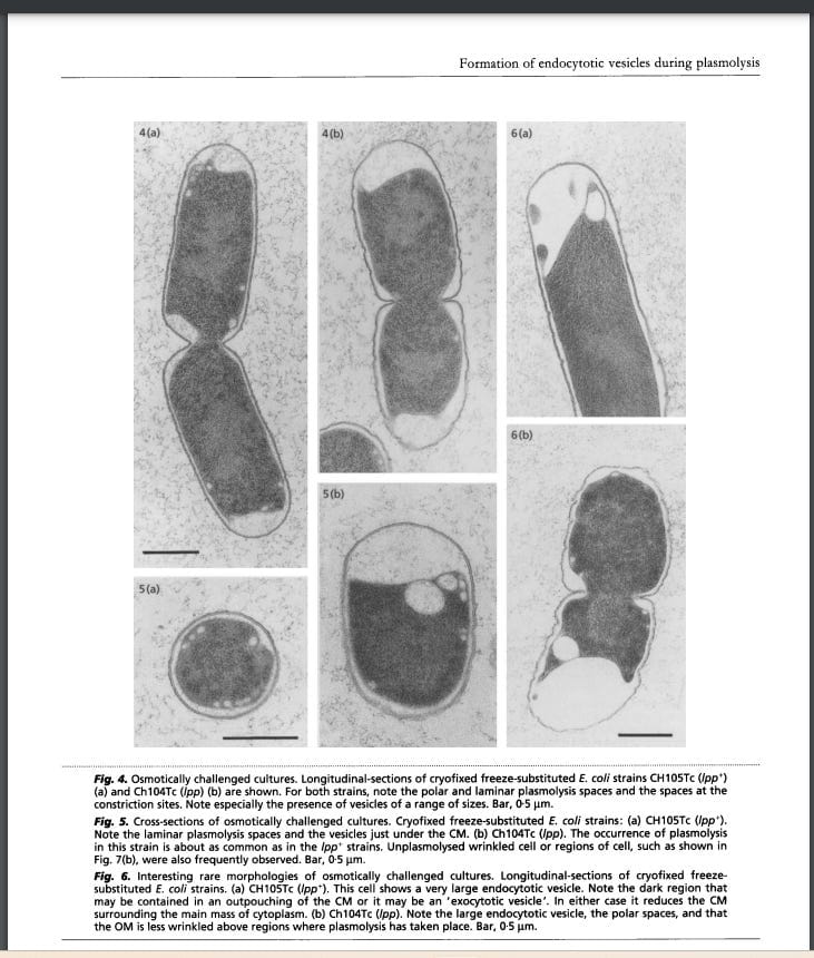Starting the Sweet Starter