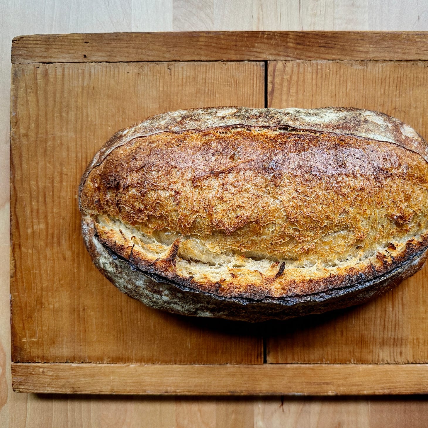 A quick hello to Wordloaf paid subscribers