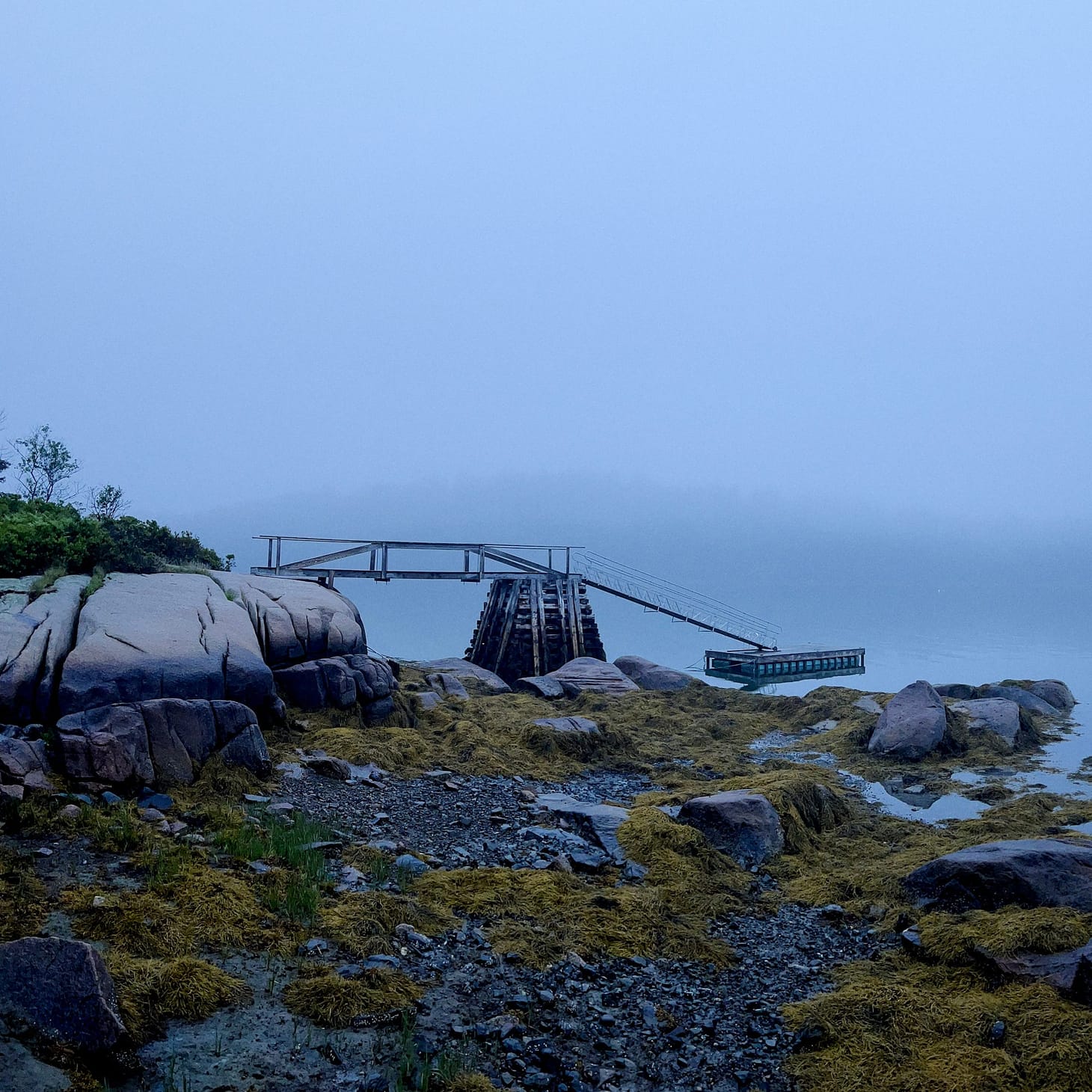 Friday Bread Basket 6/30/23