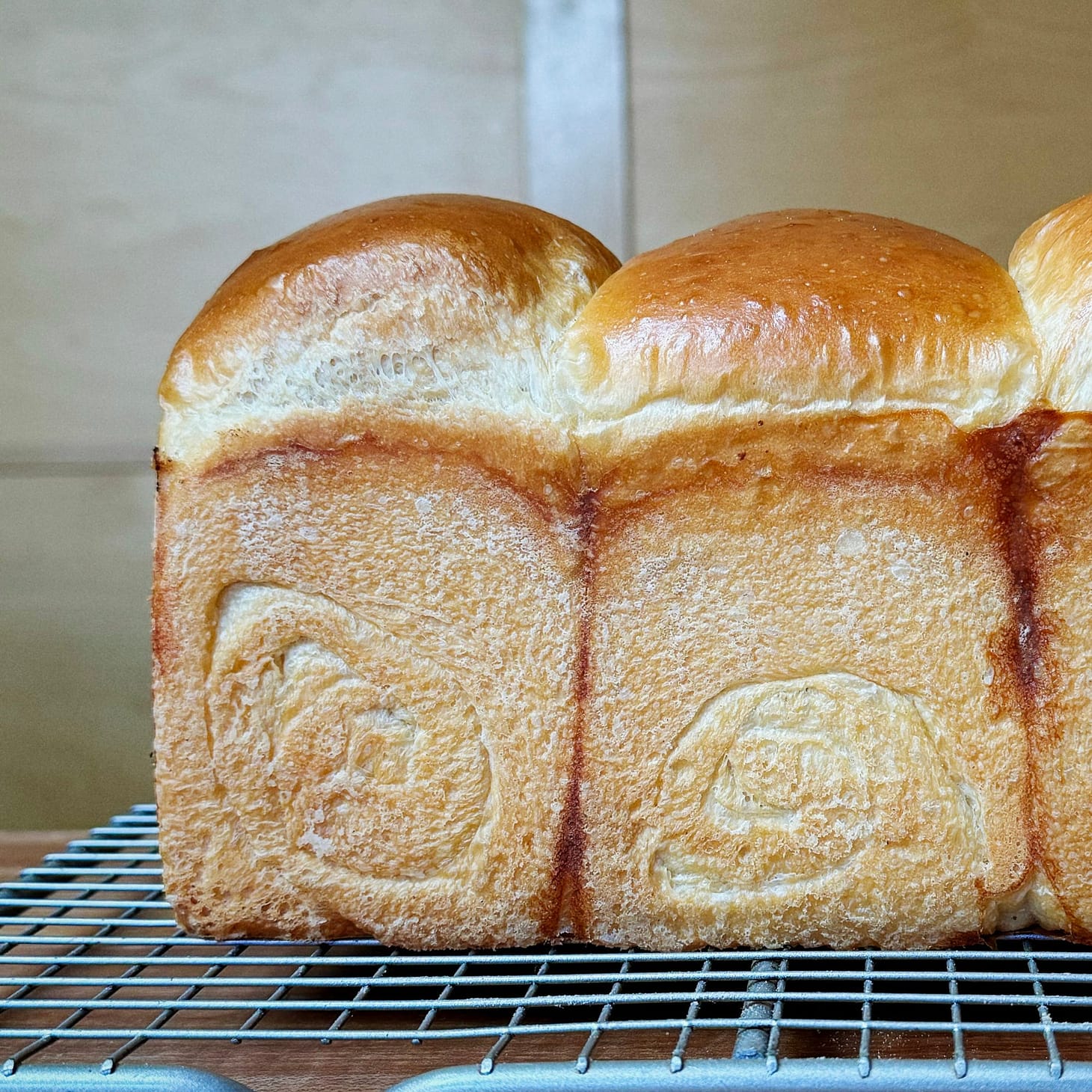 Field Notes on Making (and Baking With) a Sakadane Starter