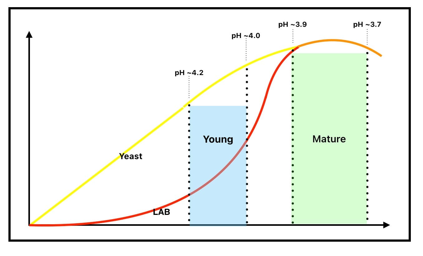 Sourdough Strategies
