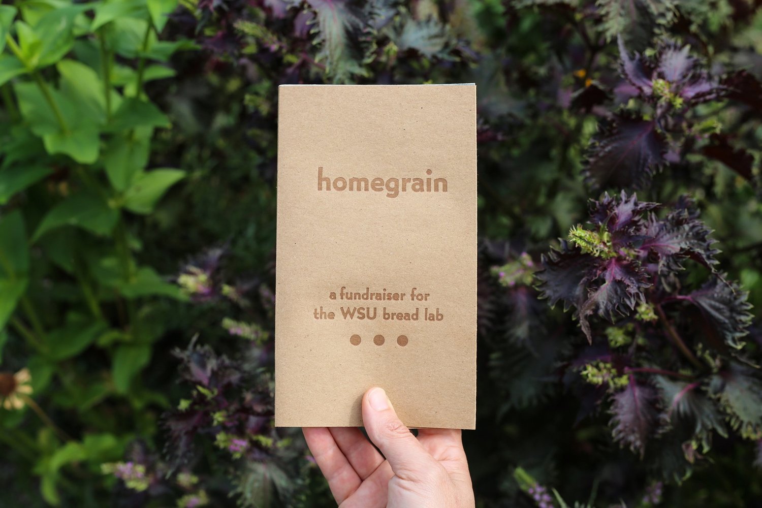 Wordloaf Holiday Book Stack 2025, part one