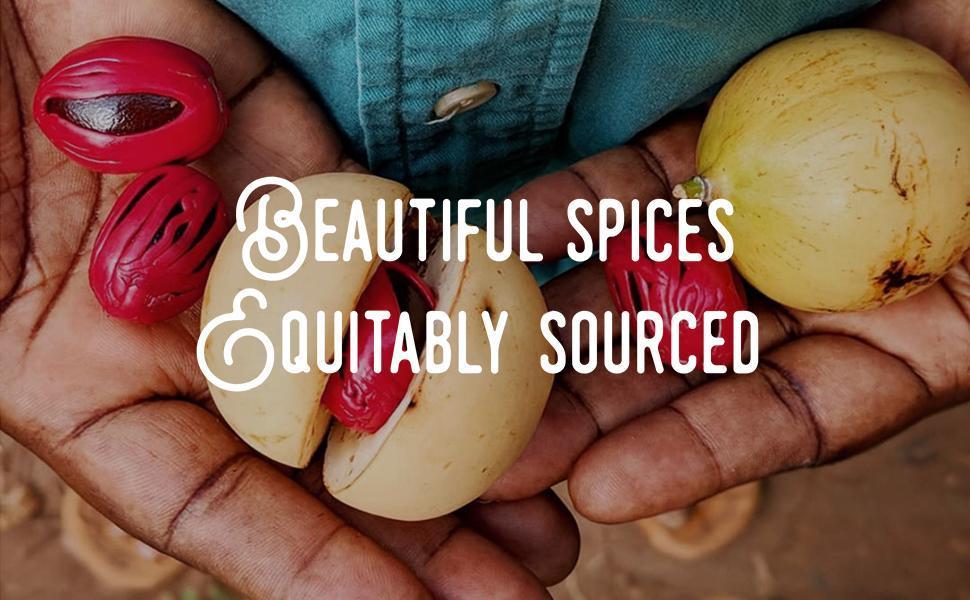 Wordloaf Holiday Gift Guide